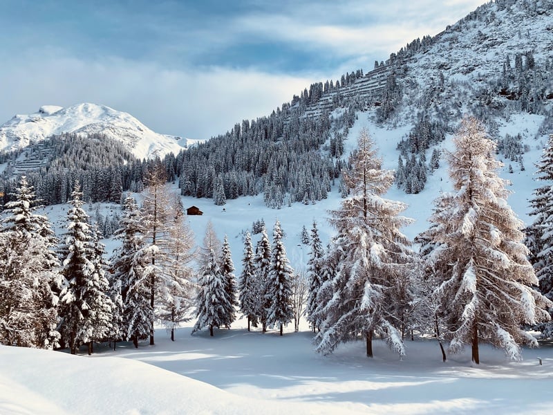 Lech Am Arlberg Loacker Nature House Appartements Arlberg